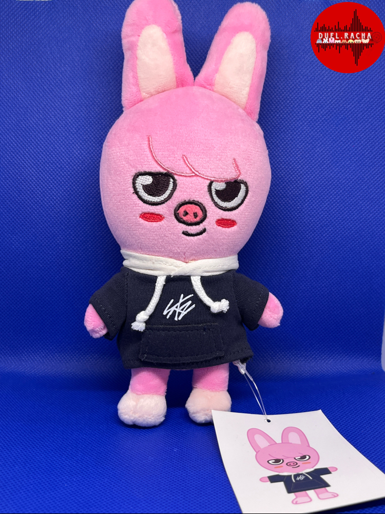 Skzoo mini vers (16cm) Dwaekki