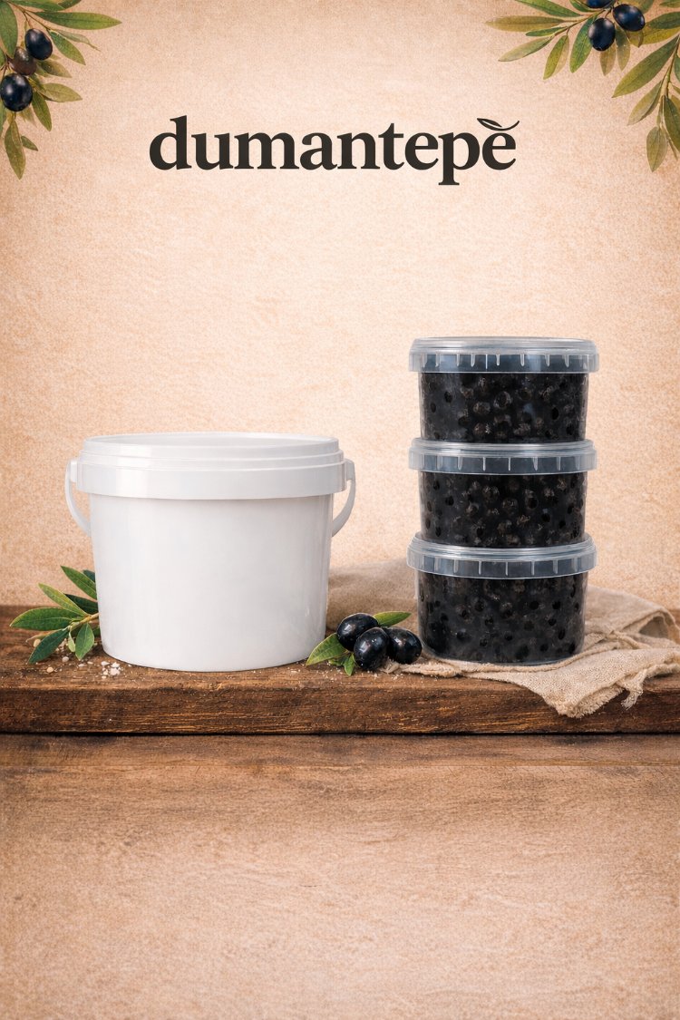 Gemlik Tipi İri Zeytin 4 kg