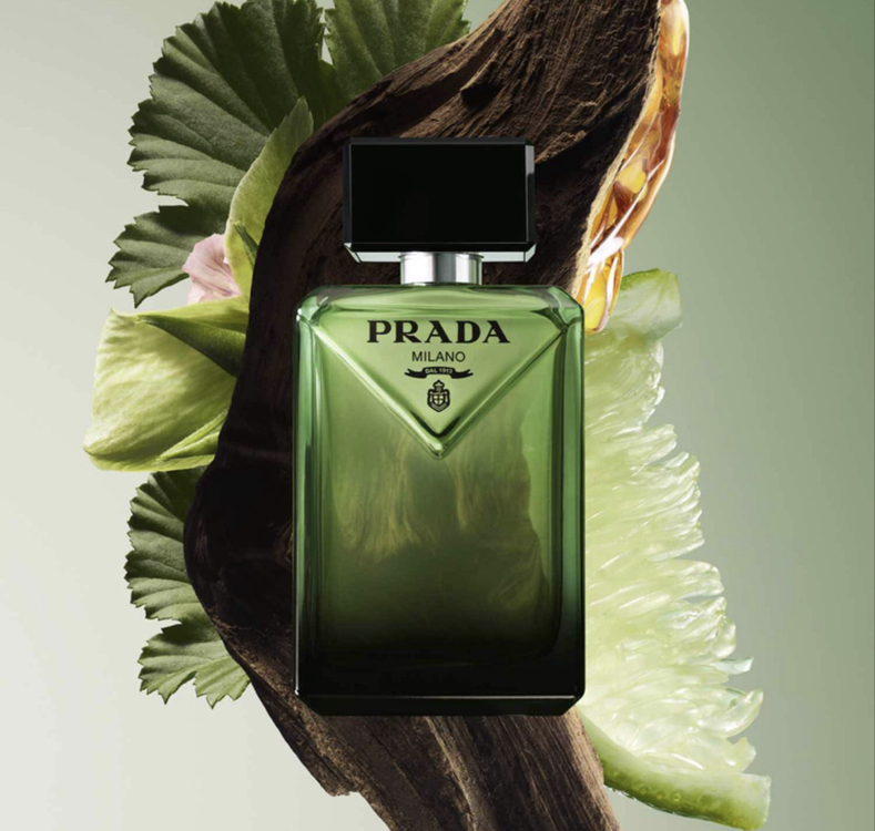 PRD Paradigme EDP (100ML)