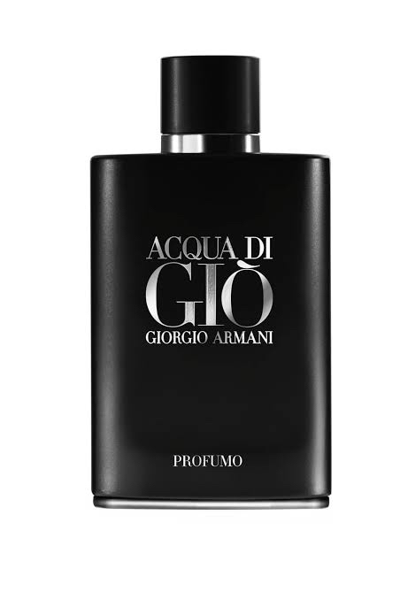 Armani Acqua Di Gio Profumo Parfum EDP (100ML)