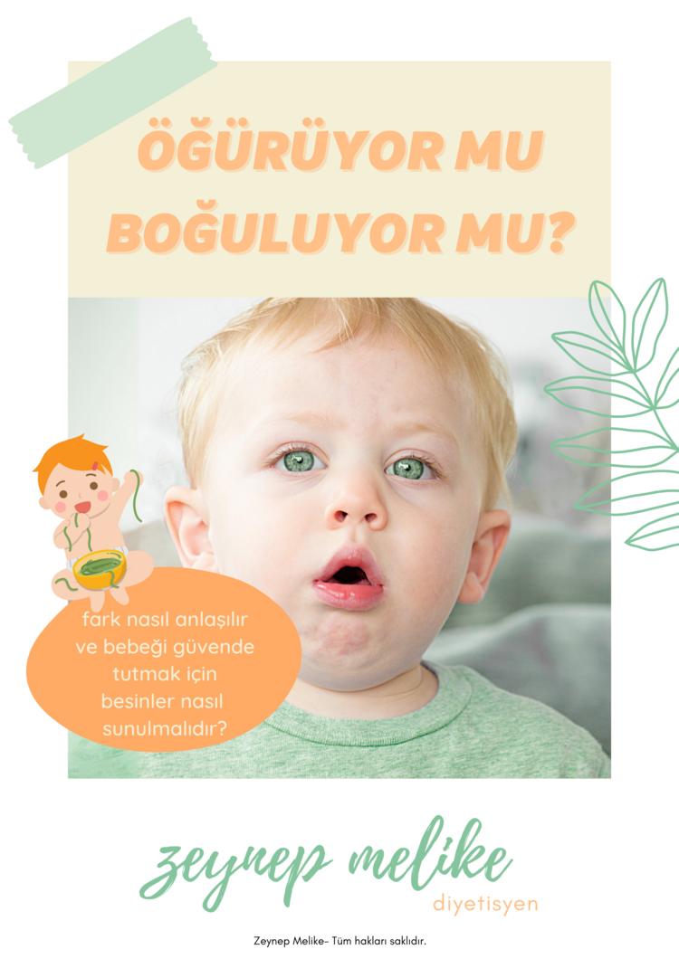 "Öğürüyor mu Boğuluyor mu?" Kitapçığı
