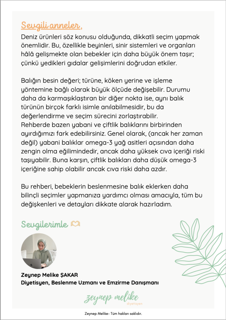 Bebeğiniz için Balık Seçme Rehberi