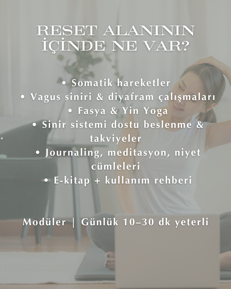 RESET | Sinir Sistemi & Enerji Regülasyonu