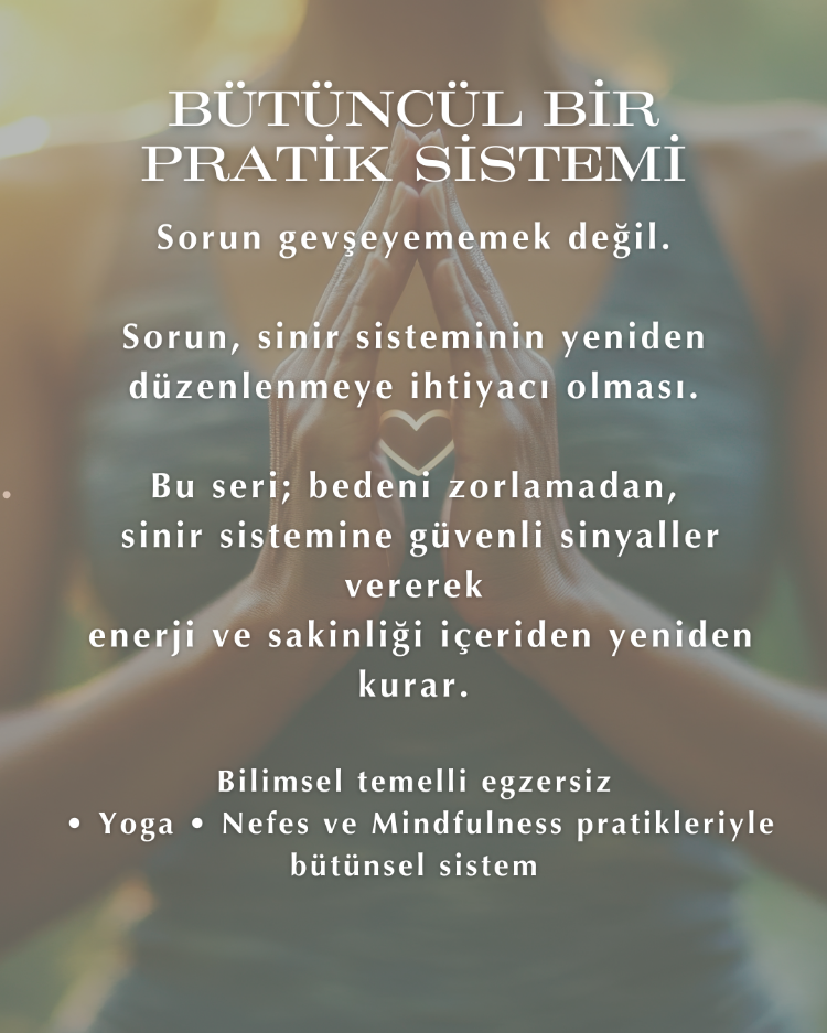 RESET | Sinir Sistemi & Enerji Regülasyonu
