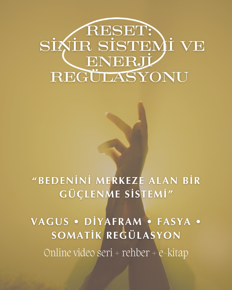 RESET | Sinir Sistemi & Enerji Regülasyonu