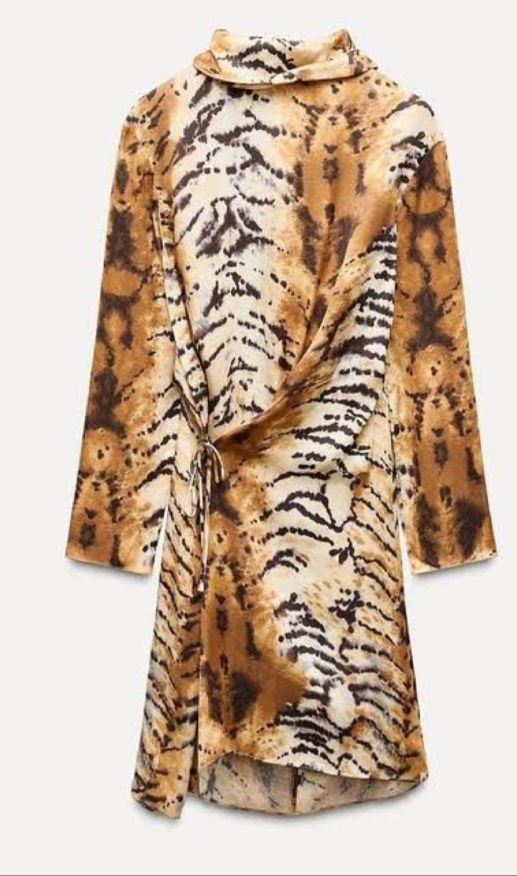 Zara Leopar Elbise