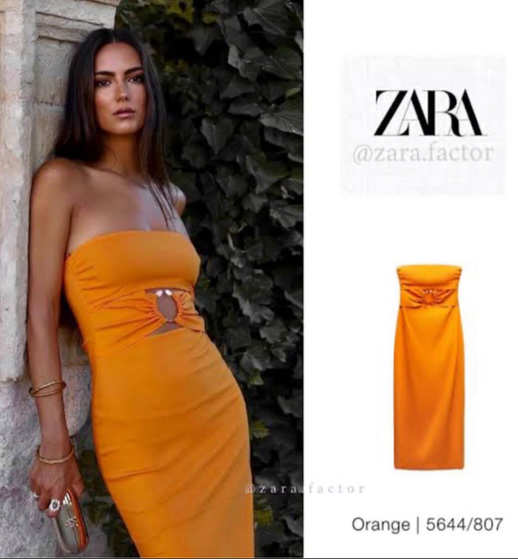 Zara elbise
