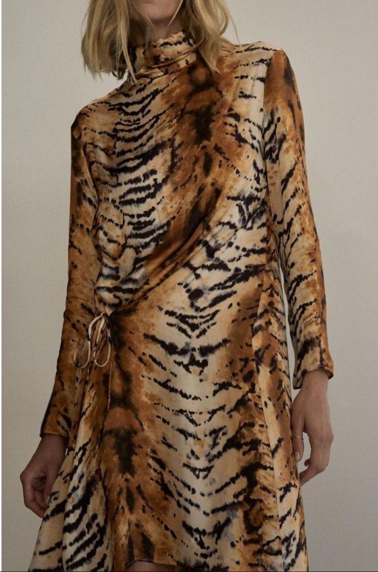 Zara Leopar Elbise