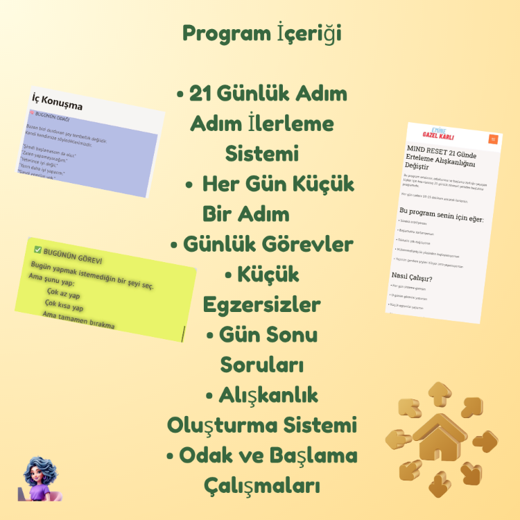 Mind Reset Challenge Programı