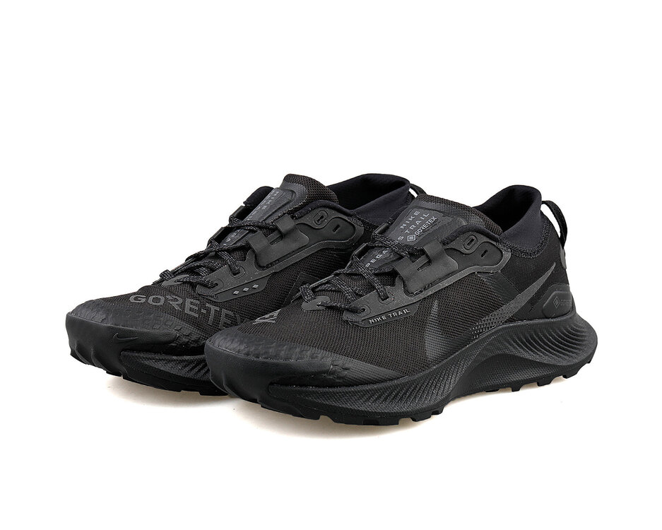 Pegasus Trail 3 Gtx