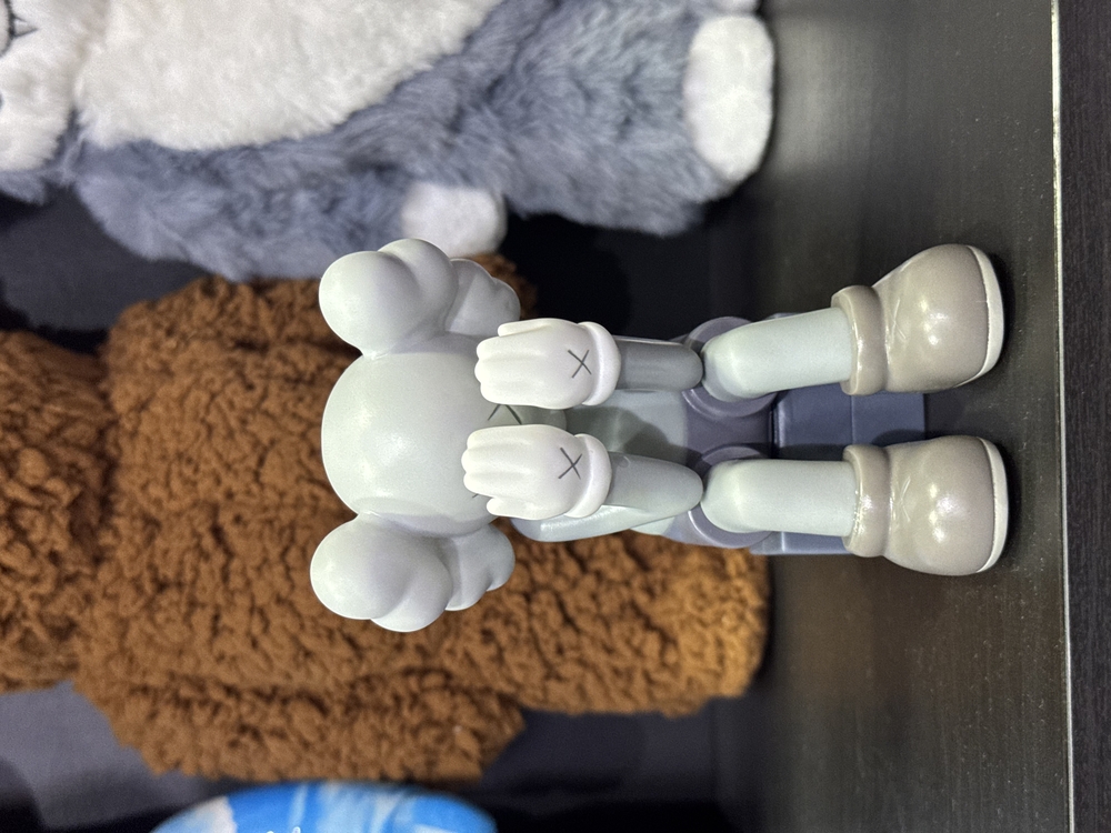 Kaws Mini 