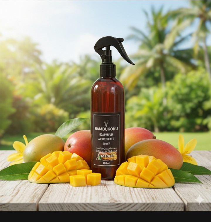 MANGO ODA ORTAM KOKUSU 400 ML
