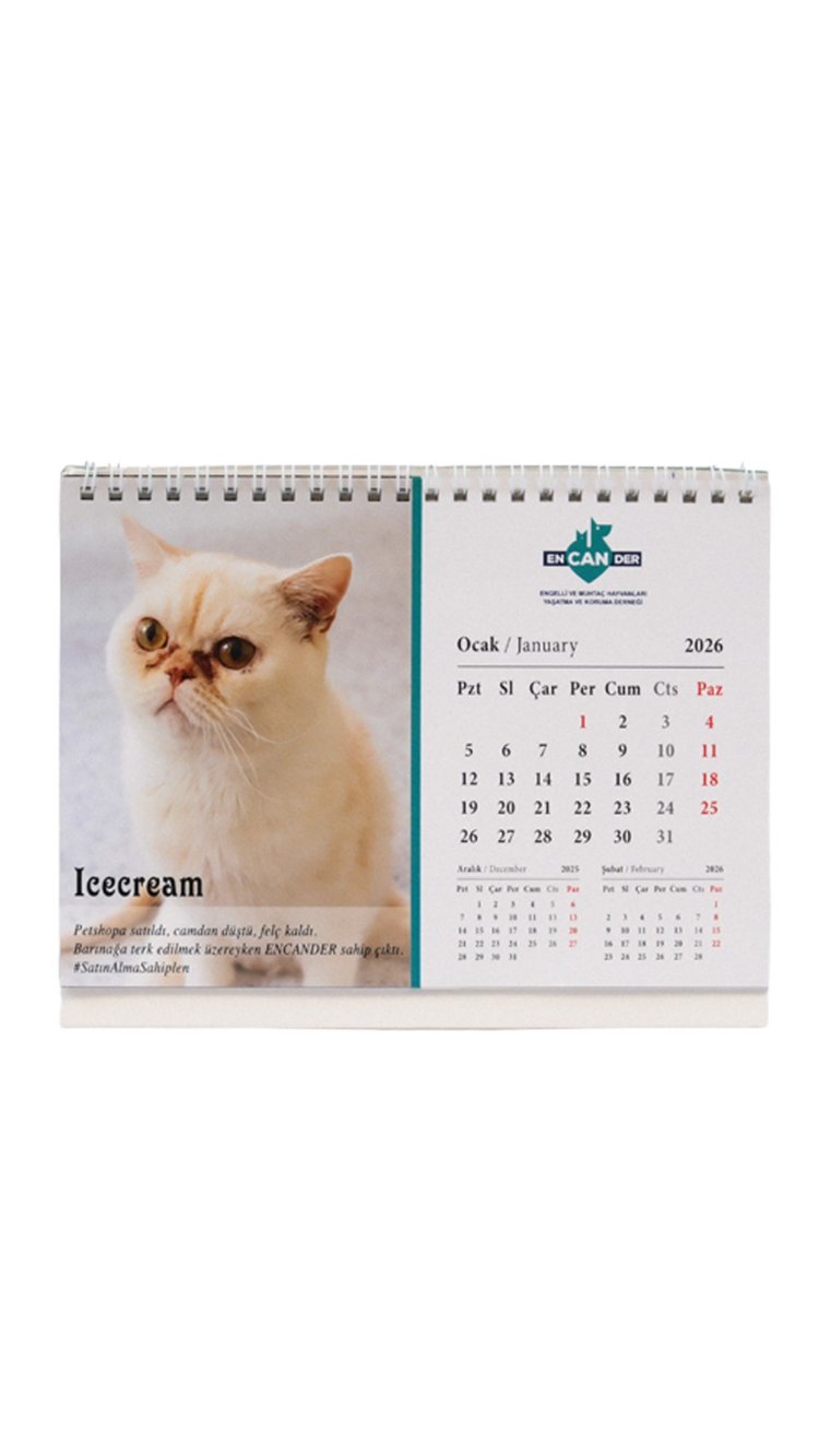 Encander 2026 Takvim