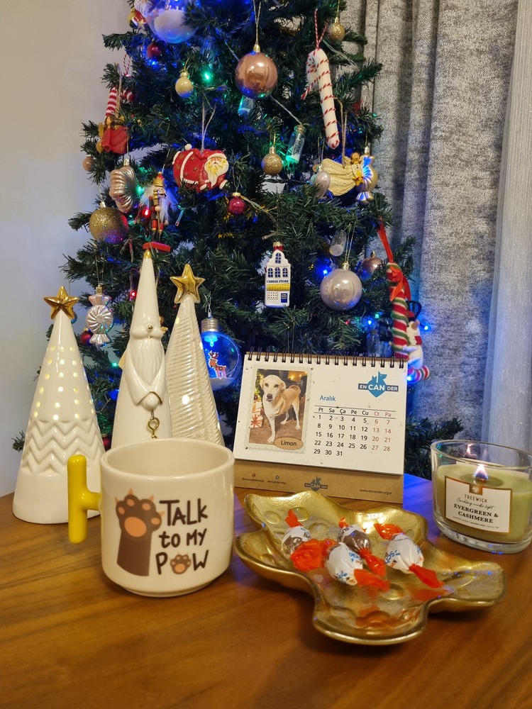 PAW KUPA BARDAK