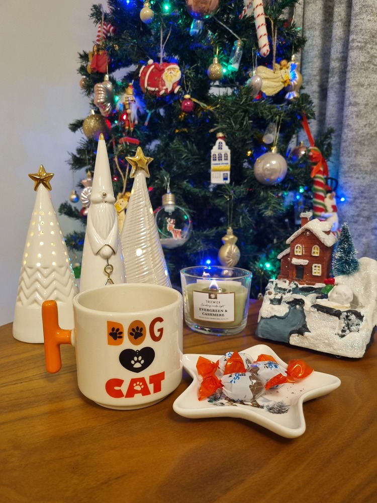 CAT & DOG KUPA BARDAK