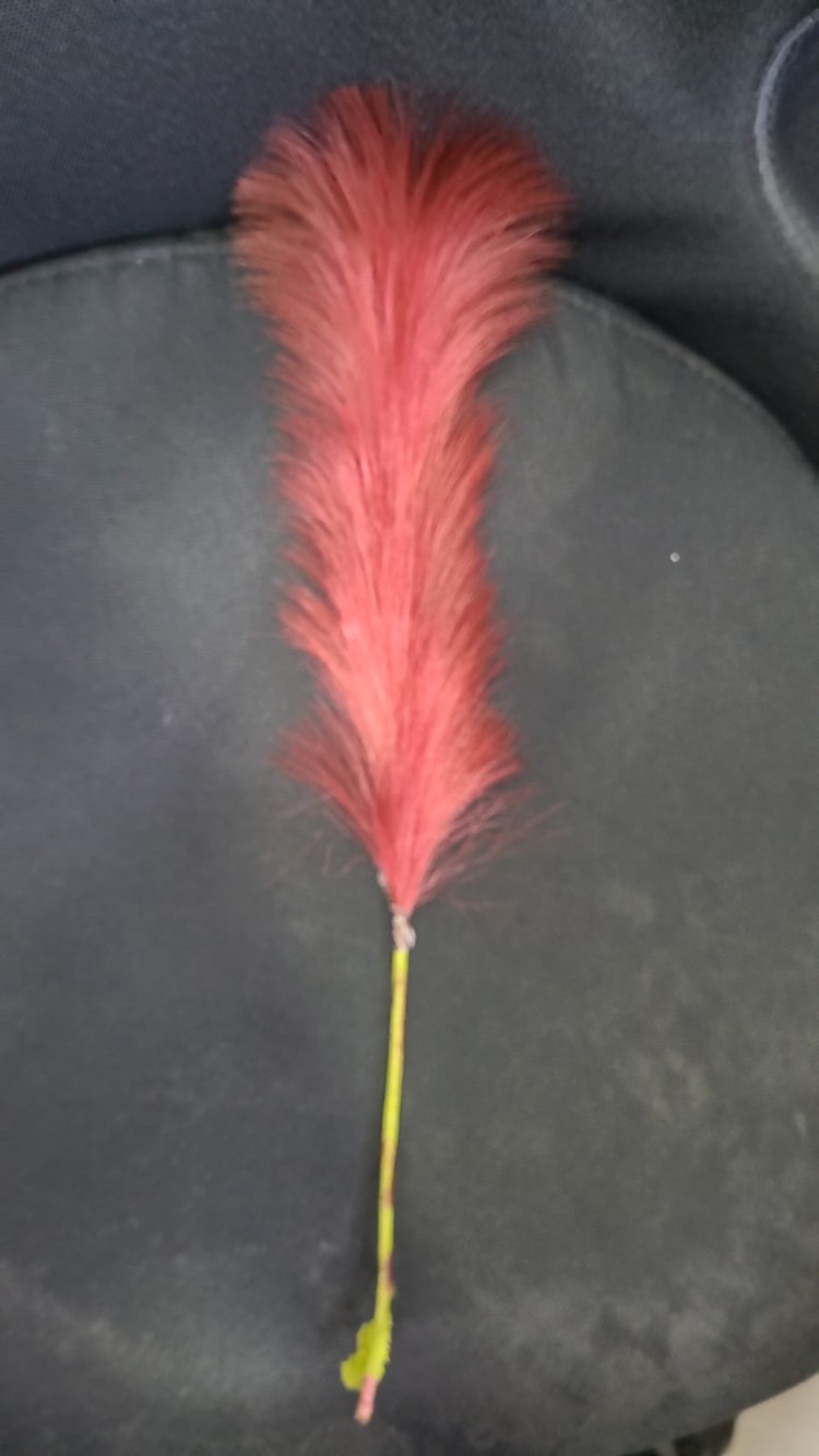 1407P264.894759 Yapay Çiçek Tüy Roven Kırmızı Pampas 1 Adet 44cm