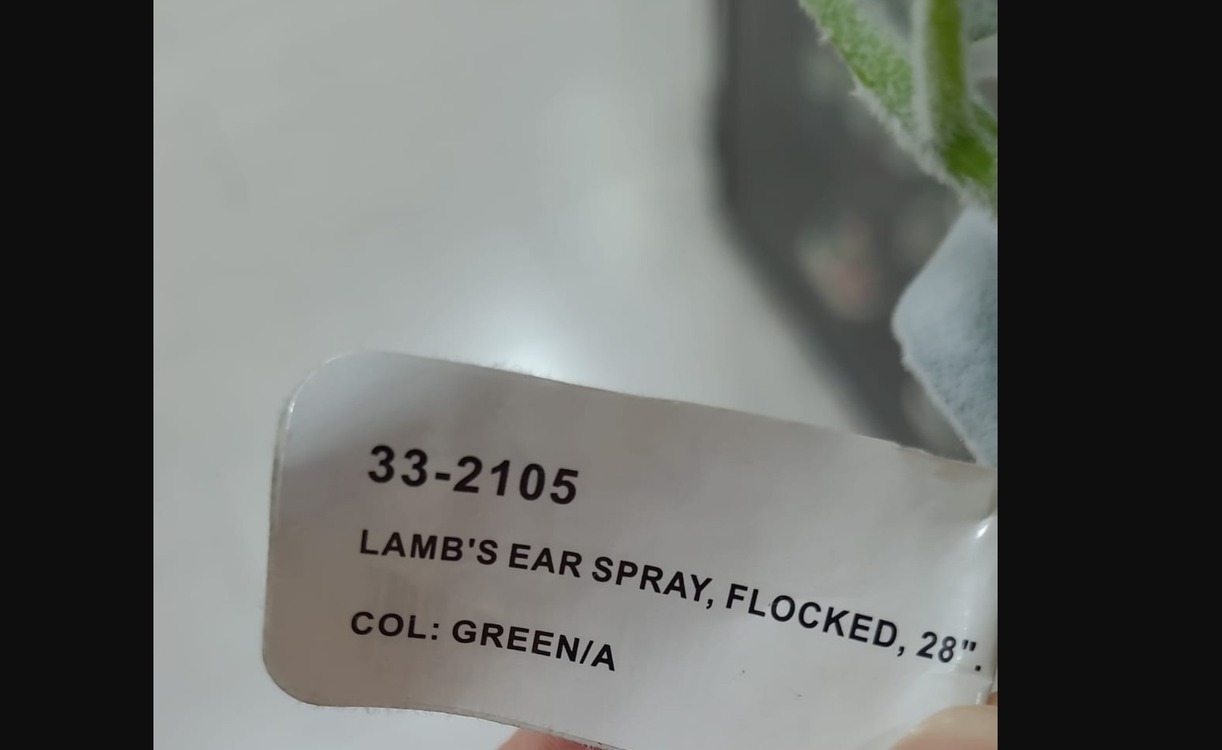 A33-2105 Yapay Çiçek Kuzu Kulağı Lamb's Ear Spray Flocked 28inch Yeşil 1 Adet