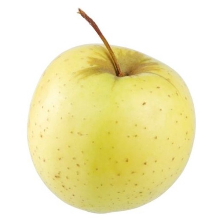 BPH01-3-0112 Yapay Doğal Taze Elma Meyve Orta Botanik Golden Delicious 1 Adet