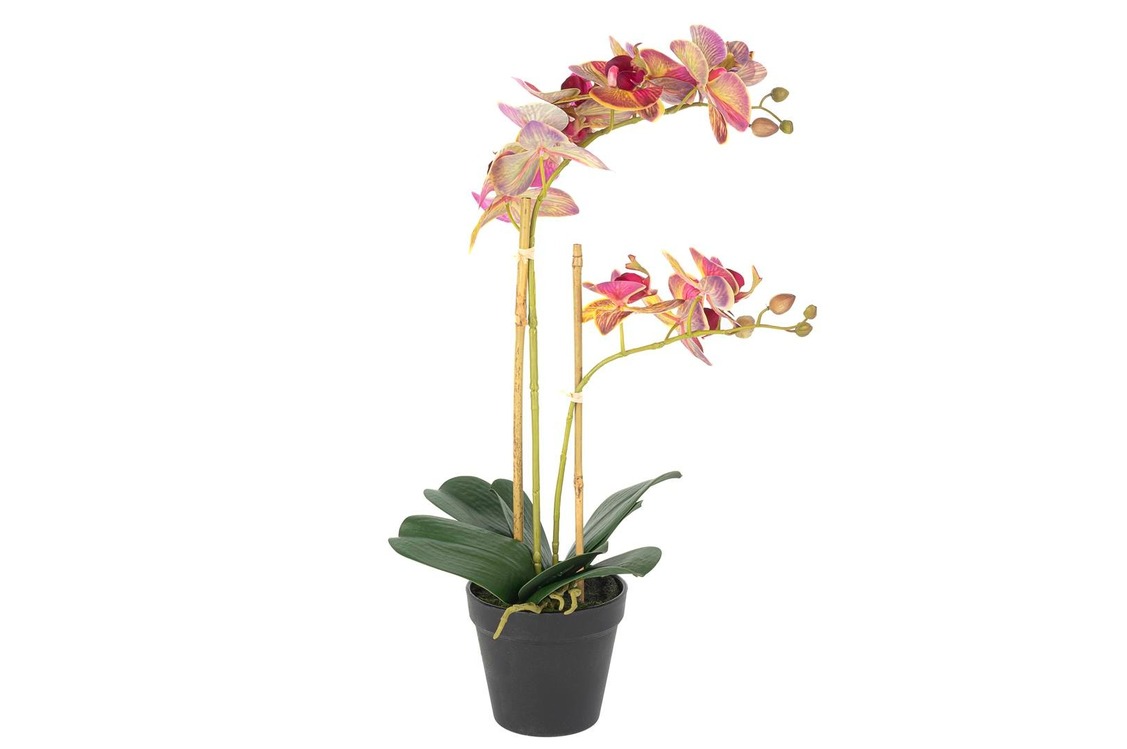 P282.352813 Fuşya Limoni İkili Yapay Orkide 53cm Ev Dekorasyon Saksılı Çiçek 1 Adet