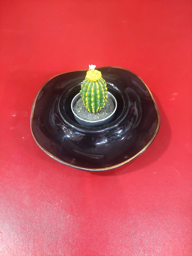 A02535 Çap 12cm Yükseklik 4cm Porselen Siyah Gold Yaldız Mumluk Parlak Renk 1 Adet
