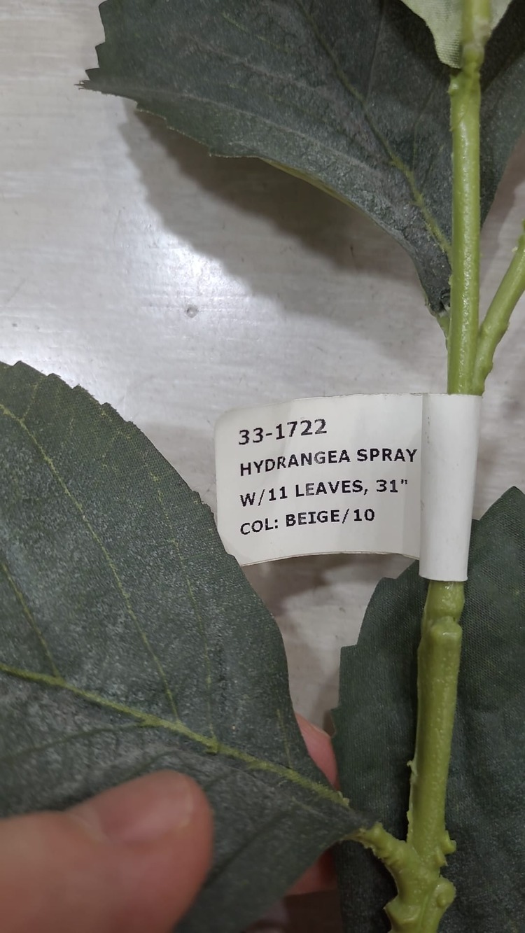 A33-1722 Yapay Çiçek Ortanca Hyrangea Spray Leaves 31inch Bej 1 Adet