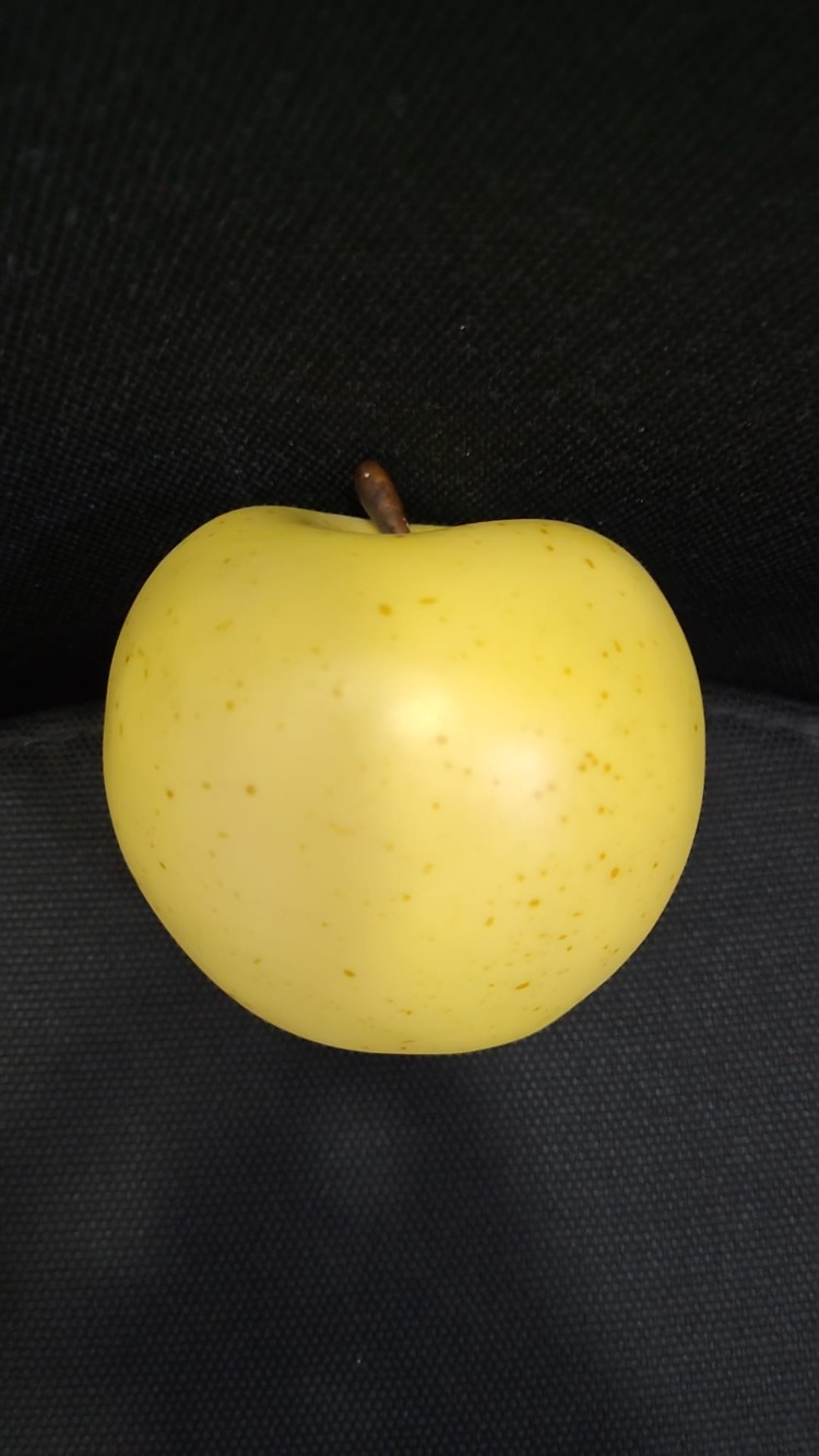 BPH01-3-0112 Yapay Doğal Taze Elma Meyve Orta Botanik Golden Delicious 1 Adet