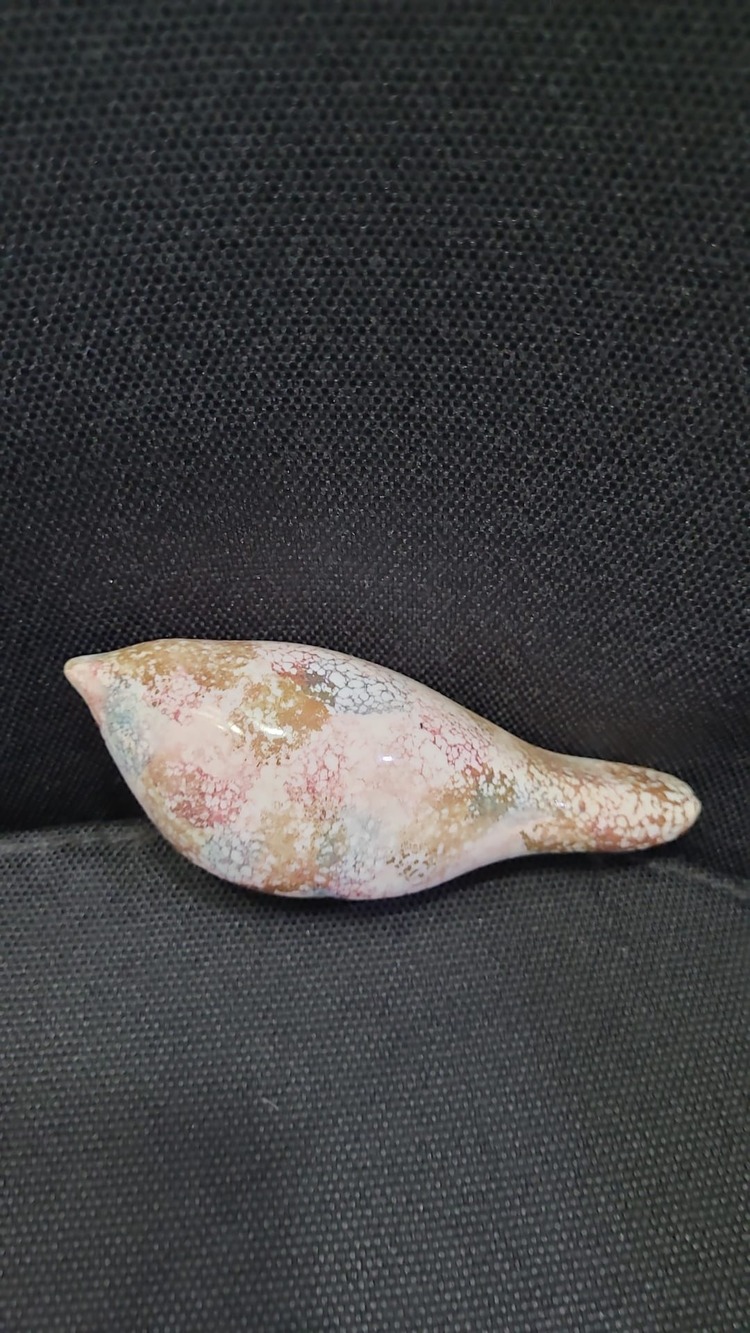 A151068 Amoria Exoptanda Volutidae Australia Tarz Kuş Porselen Sanat 11cm 1 Adet