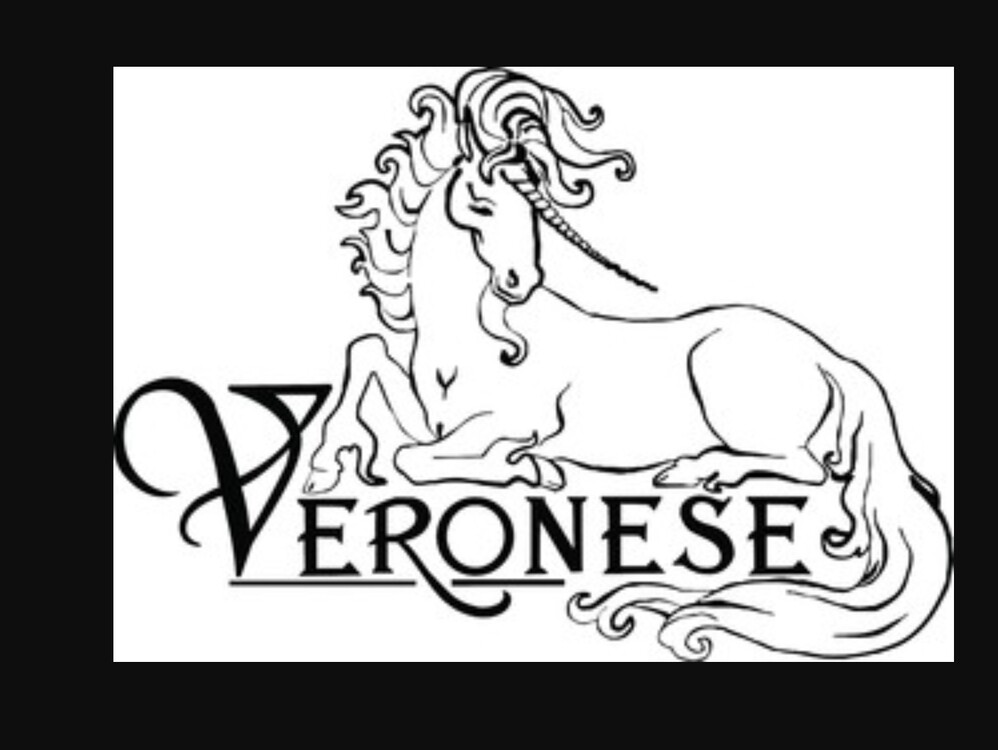 WU77599AA Veronese Wise Sihirbaz Kedi Hediyelik Biblo 16,8x10,3x13,3cm 1 Adet