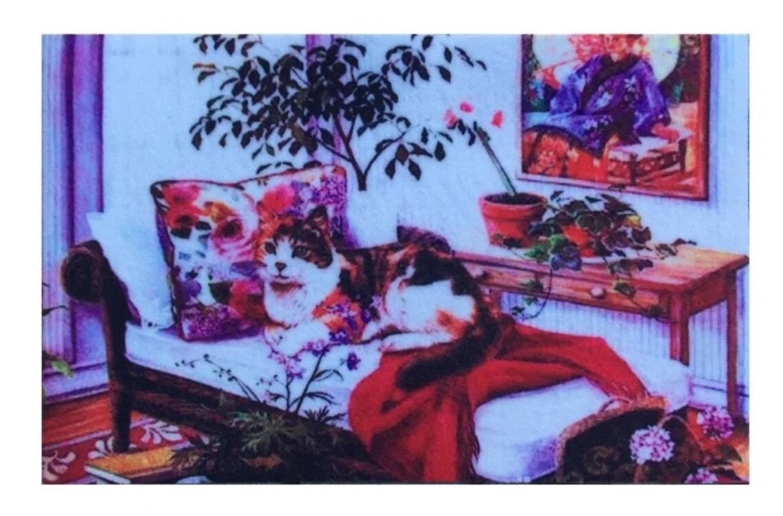 103TRKTRD2050 Home Trendy Kapı Paspas 45x75cm Koltukta Kedi İç Dış Polyester 1 Adet