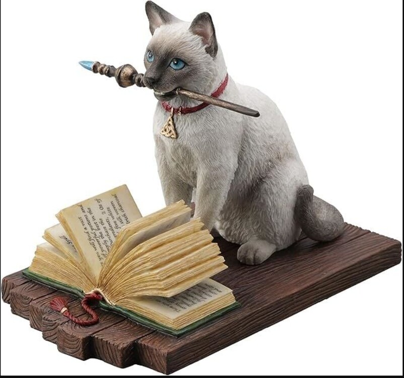 WU77599AA Veronese Wise Sihirbaz Kedi Hediyelik Biblo 16,8x10,3x13,3cm 1 Adet