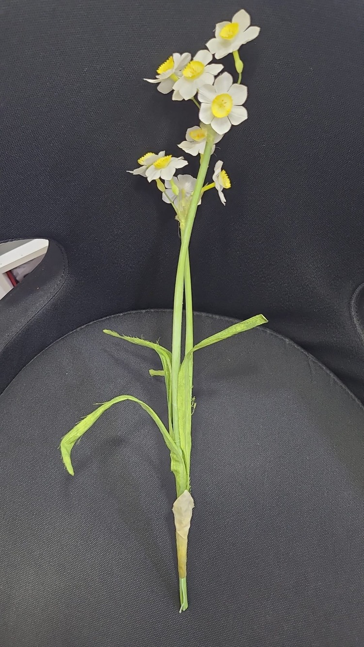 RE185W/Y Yapay Çiçek Narcissus Tazetta Dal Nergis Bitki 49cm 1 Adet