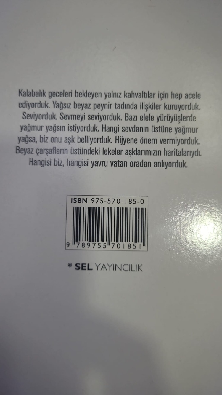 9789755701851 Hijyenik Aşklar Yılmaz Erdoğan 2003 Edebiyat Kurgu Kitap
