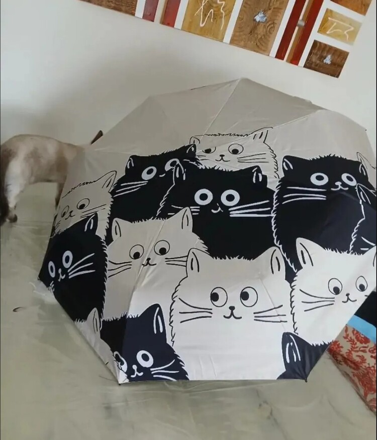 FB67307 Manuel Karikatür Siyah Beyaz Kedi Şemsiye UV Koruma Katlanabilir 1 Adet