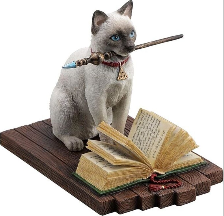 WU77599AA Veronese Wise Sihirbaz Kedi Hediyelik Biblo 16,8x10,3x13,3cm 1 Adet