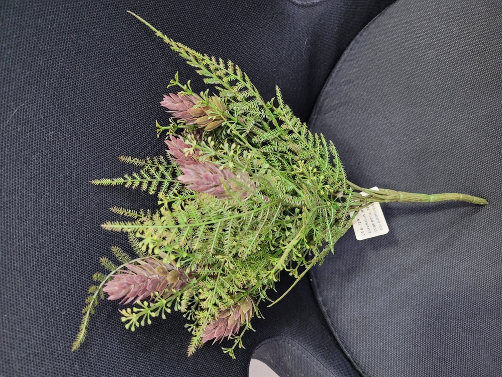 258-729 Asparagus Pine Cone Bush 33cm Autumn Renk Yapay Çiçek 1 Adet