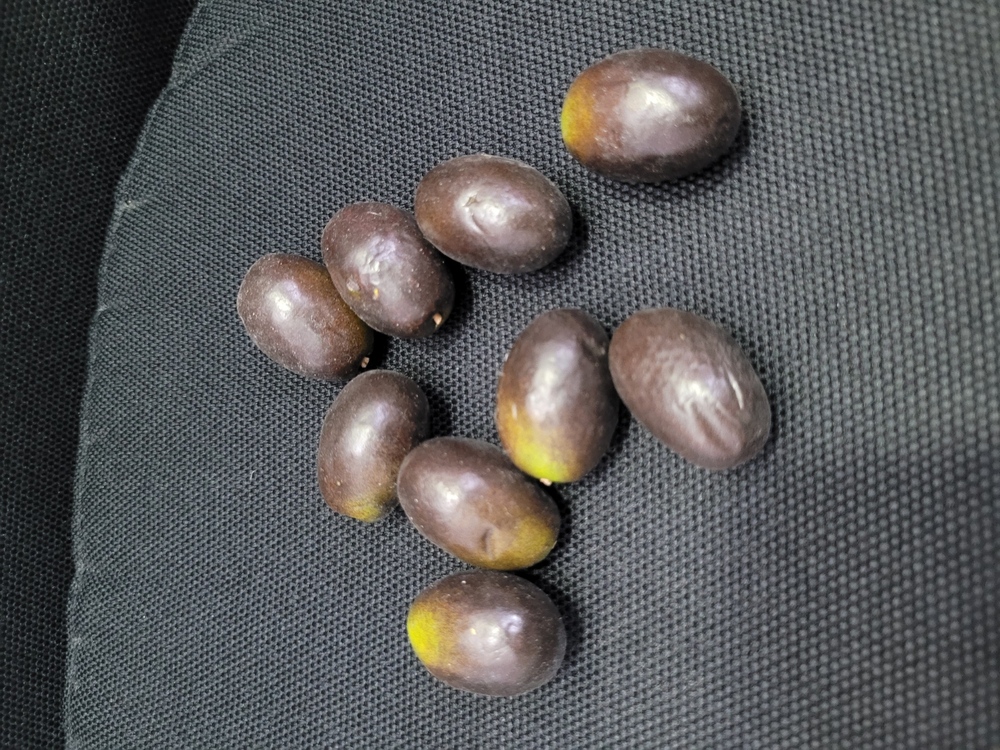 YZ1903 Yapay Zeytin 8'li 3cm