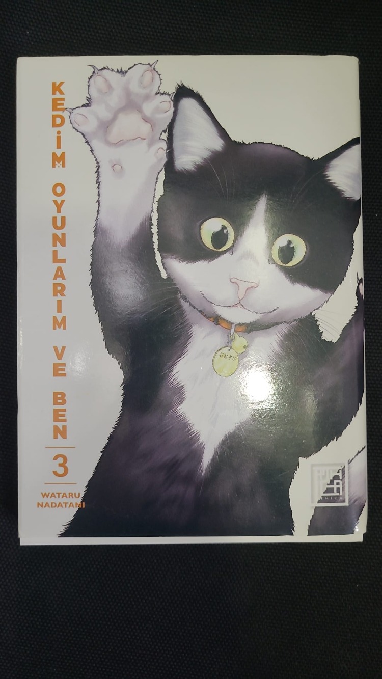 9786259400563 Kedim Oyunlarım ve Ben 3 çizgi roman edebiyat kitap