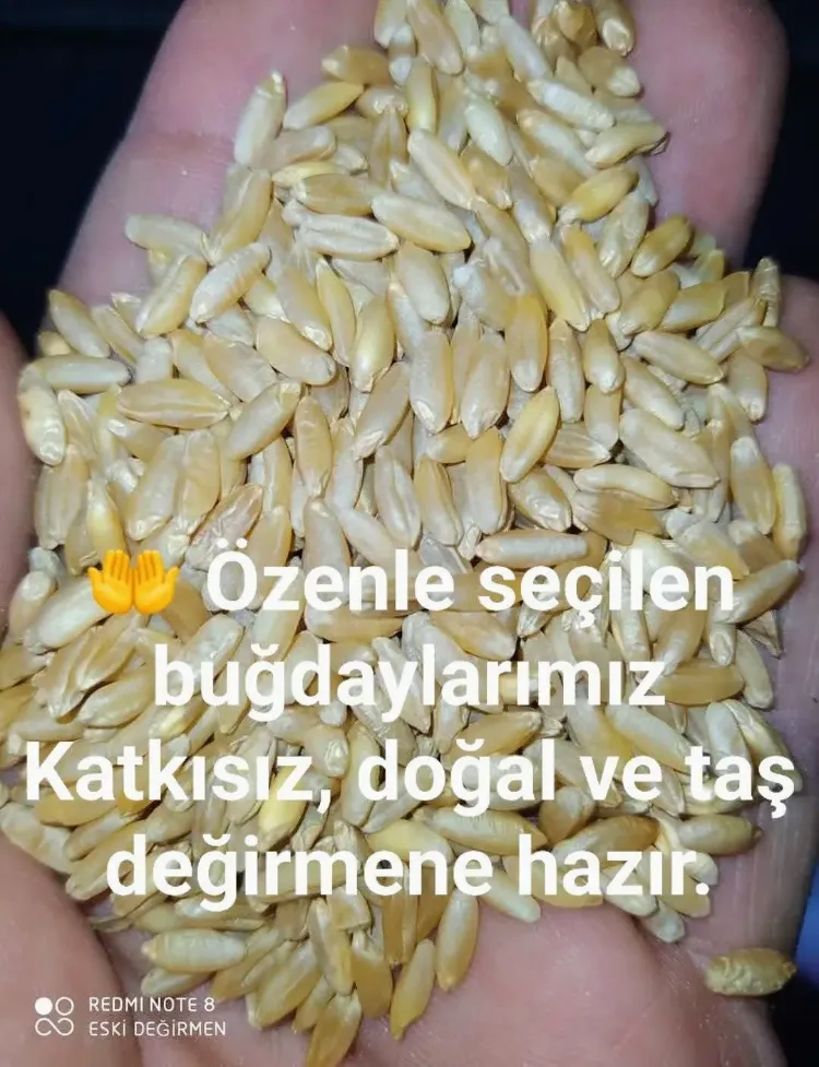 ESKİ DEĞİRMEN BAYRAMİÇ SARI BUĞDAY UNU 1KG