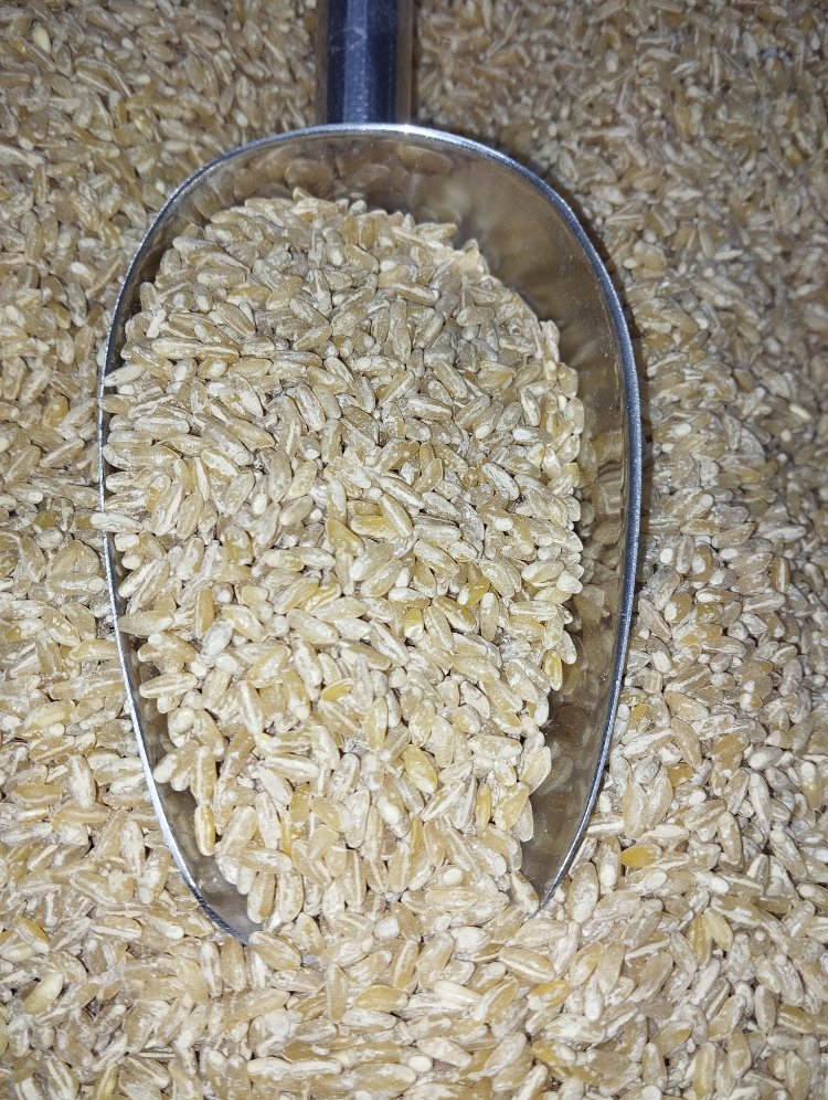 ESKİ DEĞİRMEN BAYRAMİÇ DÖVME (KEŞKEKLİK& AŞURELİK)KG