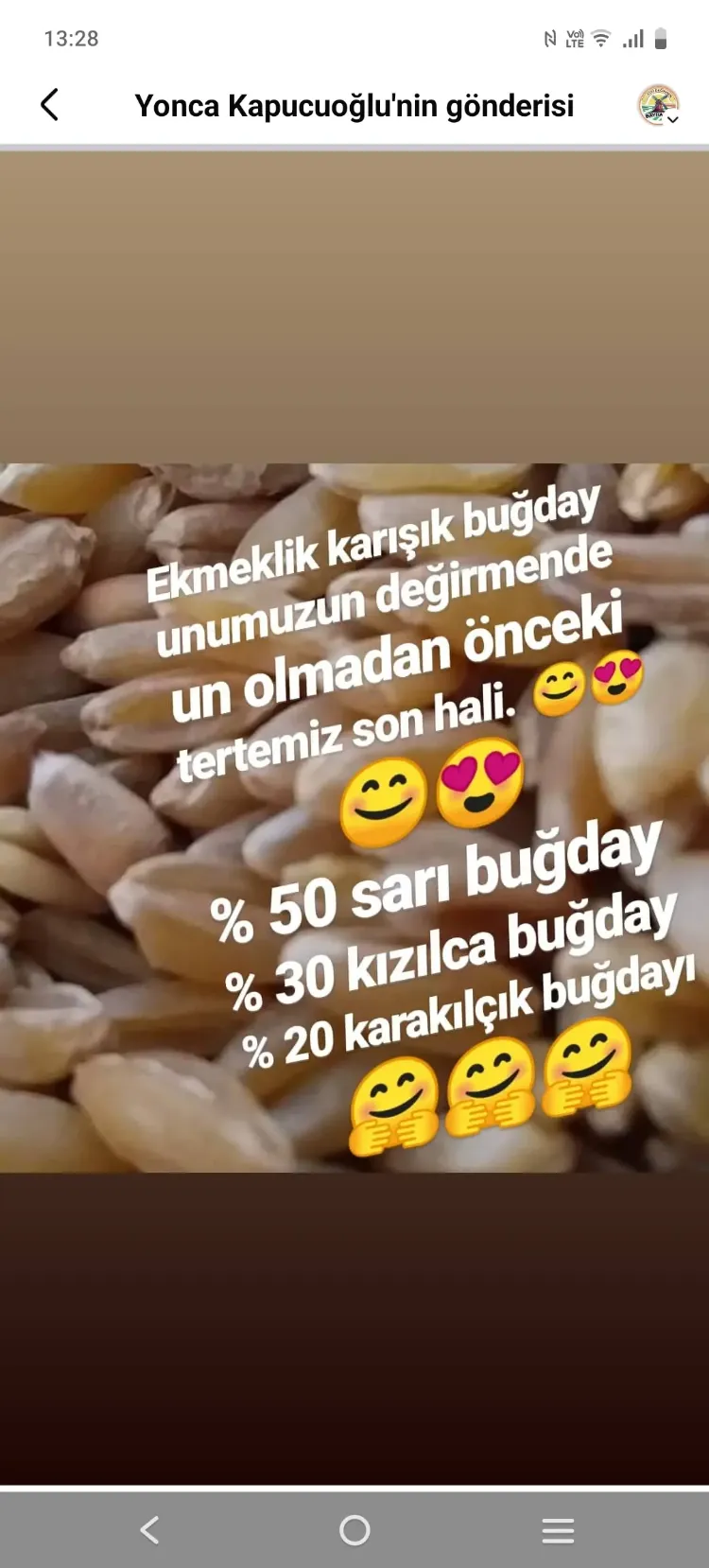 ESKİ DEĞİRMEN BAYRAMİÇ KARIŞIK BUĞDAY UNU 1KG