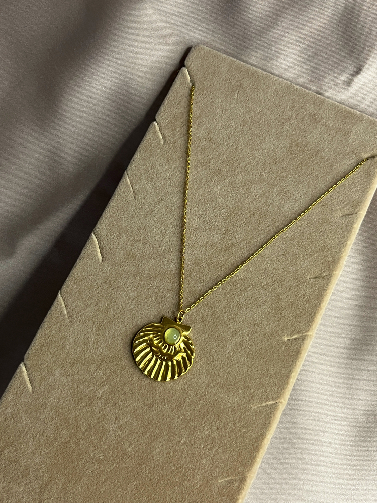 Coquille de Lune