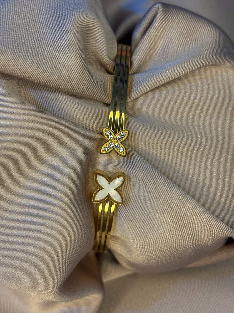 Papillon