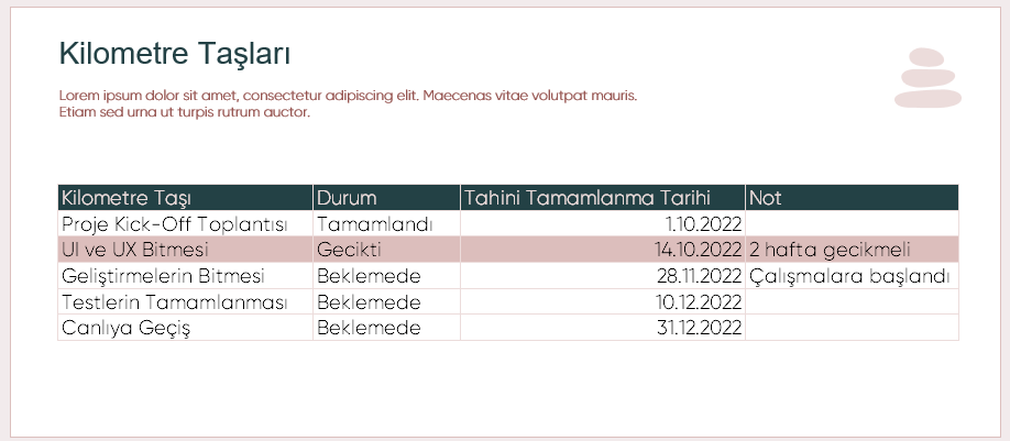PROJE DURUM RAPORU