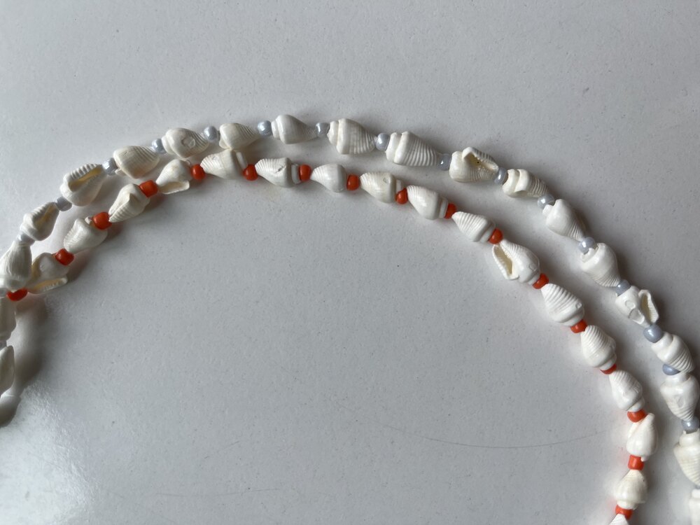 Seashell Necklace