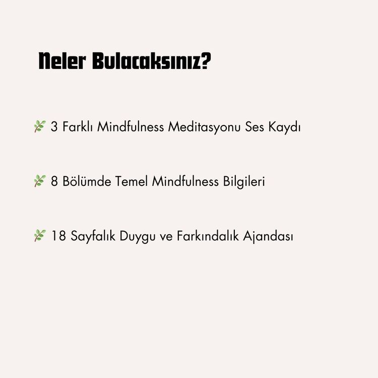 Mindfulness Çalışma Kitabı: Zihinsel Denge ve Duygusal Dönüşüm İçin Rehberiniz