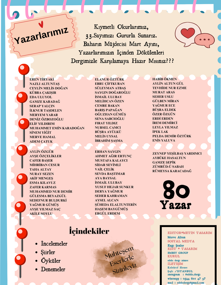 33.sayı