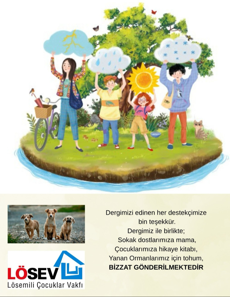41.Sayı Kasım ve Rozet