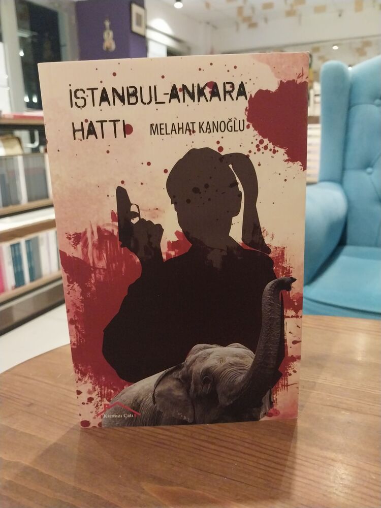 İSTANBUL-ANKARA HATTİ 