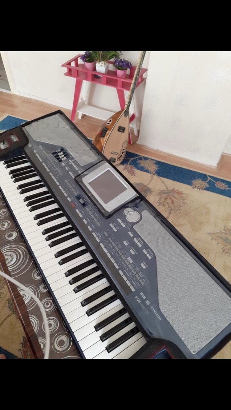Korg pa800 koruma kılıfı