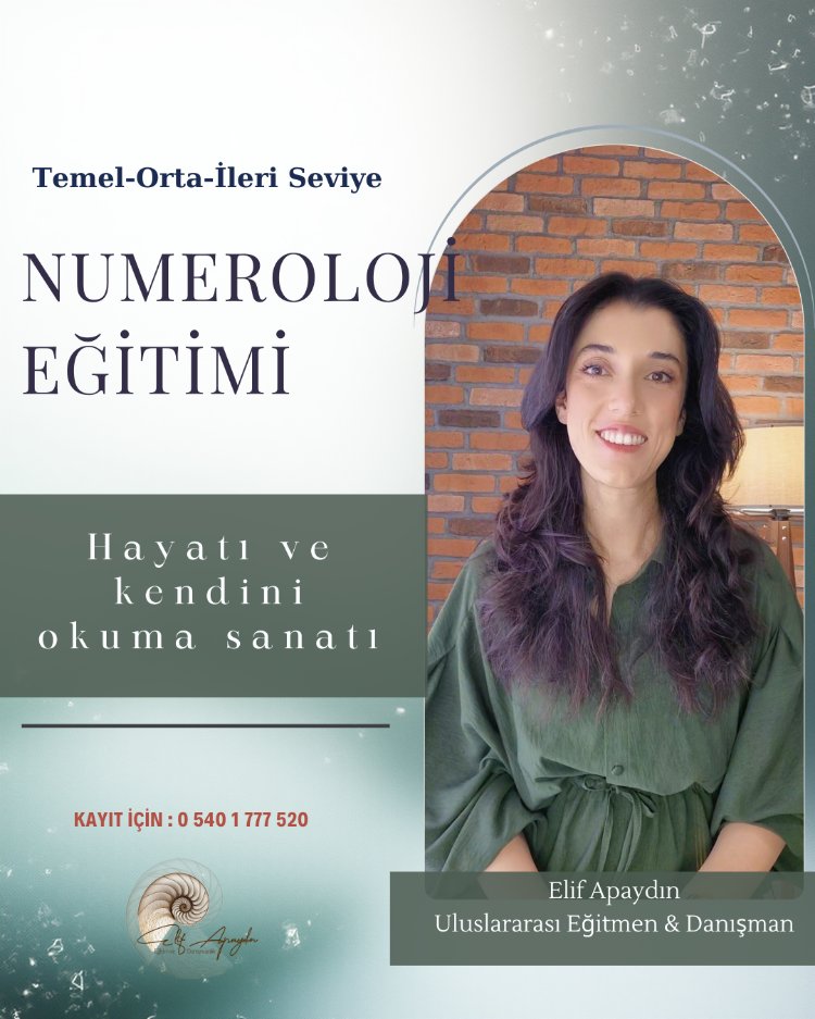 Temel-Orta-İleri Seviye Numeroloji Eğitimi